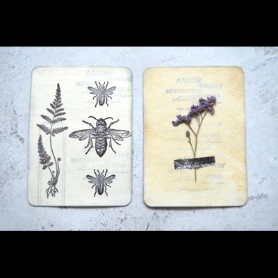 ФП  штамп "Папоротник серебристый"