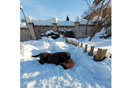 МЭГИ Февраль 2022