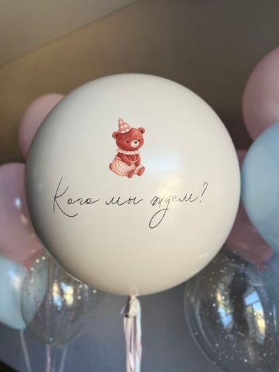 Гендер-шар &quot;Кого мы ждём?&quot;