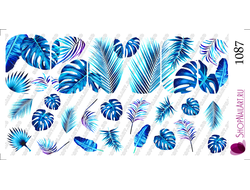 Слайдер-дизайн 1087 - Тропические растения, листья, Монстера