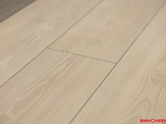 Дуб дымчатый