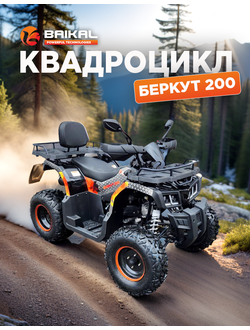 Квадроцикл BAIKAL БЕРКУТ 200 оранжевый