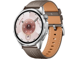 Huawei Watch GT 6 46mm (55020FWE) Серый