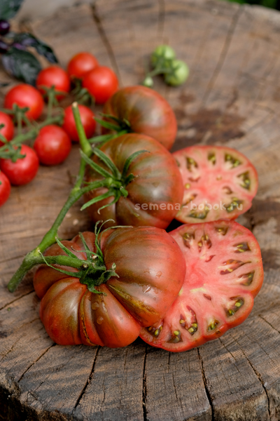 Томат Один Трюк Пони ( One Trick Pony), 10 шт