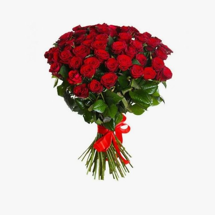Красные отечественные розы в букете из 51 цветка