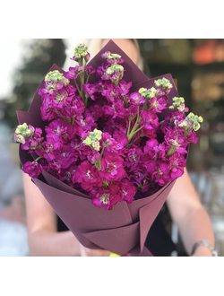 Моно букет из маттиолы