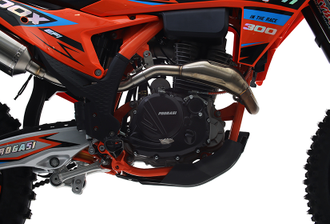 Мотоцикл PROGASI Endurance 300 EFI