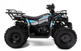 Квадроцикл SHARMAX Activator 250