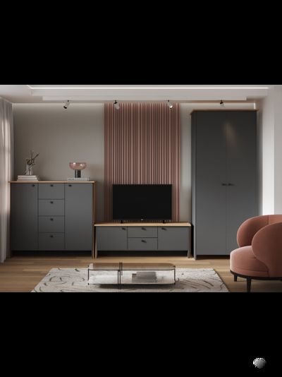 Теодора комплект мебели для гостиной Графит/Дуб крафт