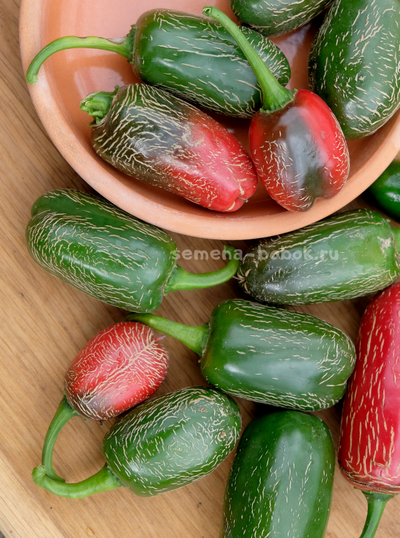 Перец острый Jalapeno Chichimeca, 10 шт