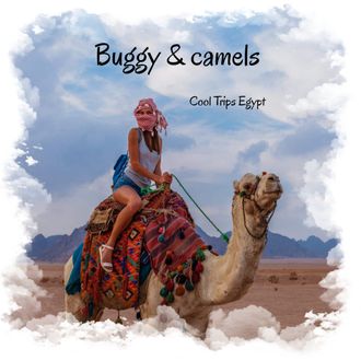 Buggy safari and camel ride (morning or afternoon) from Sharm El Sheikh
