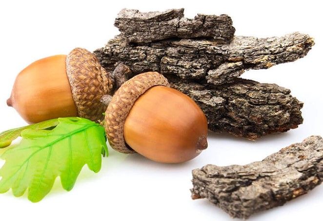 Экстракт дуба