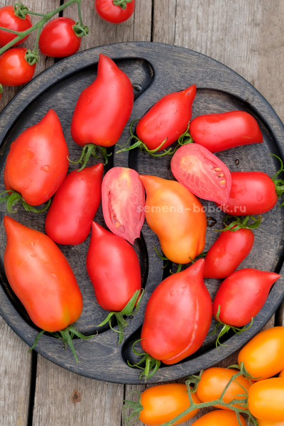 Томат Черевички, 10 шт