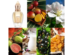 Xerjoff Cruz Del Sur II