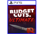 Budget Cuts Ultimate (цифр версия PS5) RUS/PS VR2