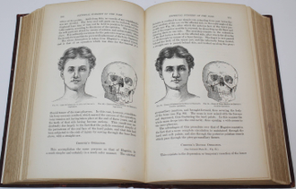 Bosworth F.H. A text-book of diseases of the nose and throat. Руководство по болезням горла и носа. London: Bailliere, Tindall and Cox, 1897.