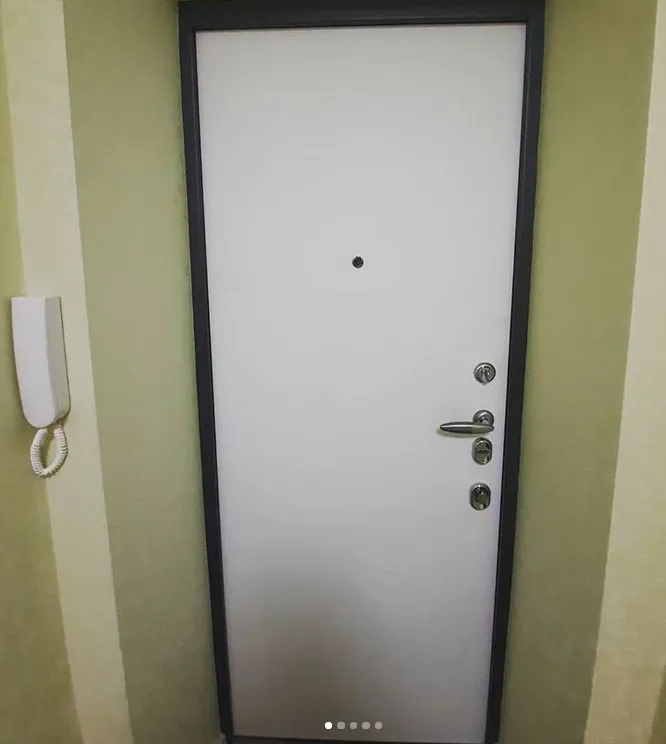 входная дверь Мастино