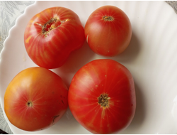 Томат Олимпийский огонь