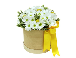 Наша любимица