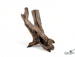 SwetAqua Chinese Sunken EXCLUSIVE 8034 (540х250х250 мм) - Натуральная коряга "Китайская затонувшая" EXCLUSIVE