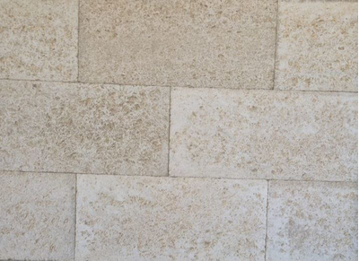 Ракушечник Дербентский белый