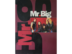 Mr Big Jens Schmiedeberg Book, Иностранные книги в Москве, Intpressshop