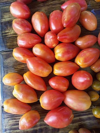 Томат Гном Затонувший персик (Dwarf Sunkissed Peach), США, Австралия