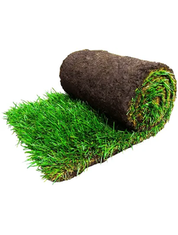 Рулонный газон "Стандарт"