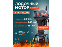ЛОДОЧНЫЙ МОТОР BAIKAL 9.9HP 2-тактный