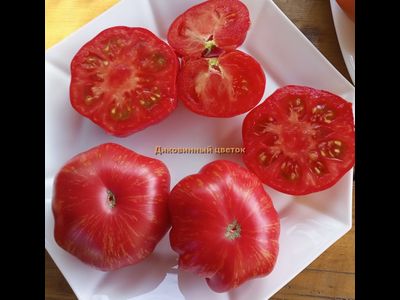 Томат Диковинный цветок розовый