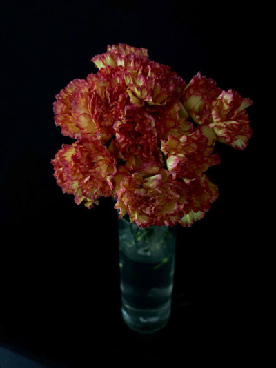 Гвоздика 15 шт