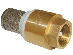 Обратный клапан с пластиковым сердечником с сеткой FF  [51230]