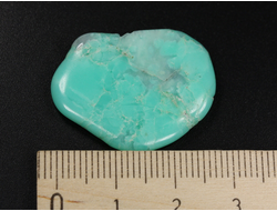 Хризопраз, полировка плоская, Австралия (28*21*3,5 мм, 4 г) №35679