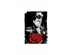 Покрывало Сектор Газа, Юрий Хой №11