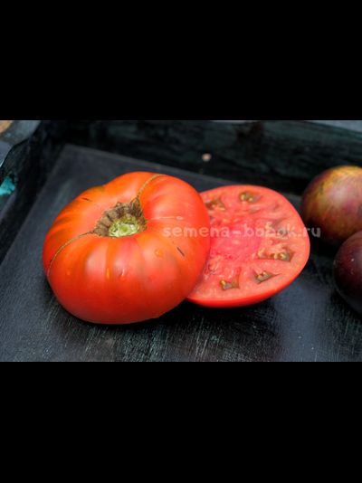 Томат Cowboy (Ковбой), 10 шт