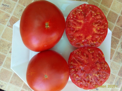 Томат Земляника Маргариты (Strawberry Margarita) США