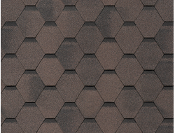 Сальса Финик