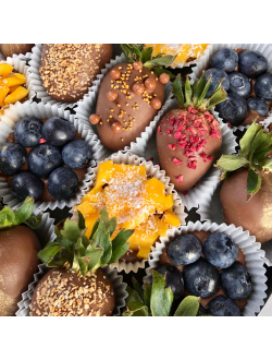 Фрукты и ягоды в молочном шоколаде Berry Kingdom with mango XL