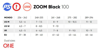 Powerslide Zoom 100 Black (доставка почтой)
