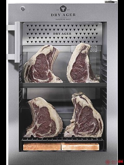Шкаф для вызревания мяса DRY AGER DX0500PS+DX0066