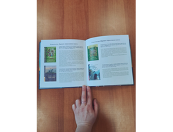 Алла Лагутина. Белёк. Байкальская история. Терапевтическая сказка для детей.