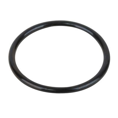 Прокладка-кольцо крышки бочки фильтра Granada RGR 030.A