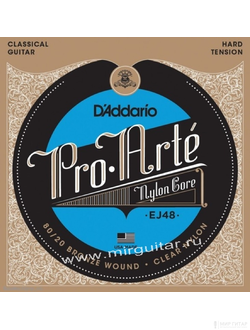 D`Addario EJ48 Pro-Arte