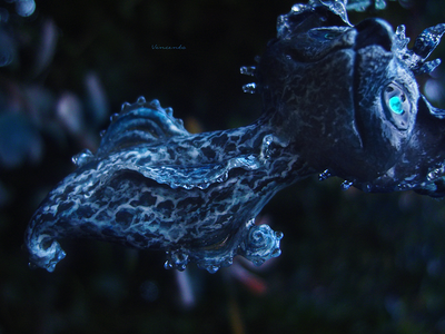 Волшебное колье "Морская Лисичка" (необычное фэнтези-украшение в морском стиле)