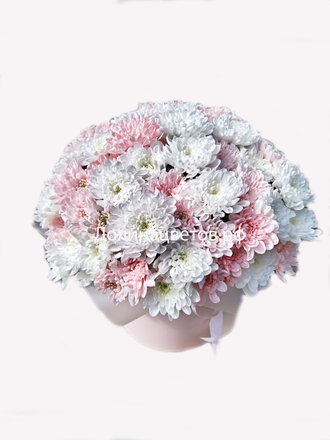 Персиковый бриз