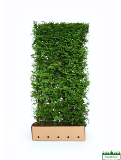 Гофрокороб для блока живой изгороди