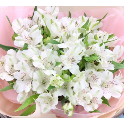 Альстромерия