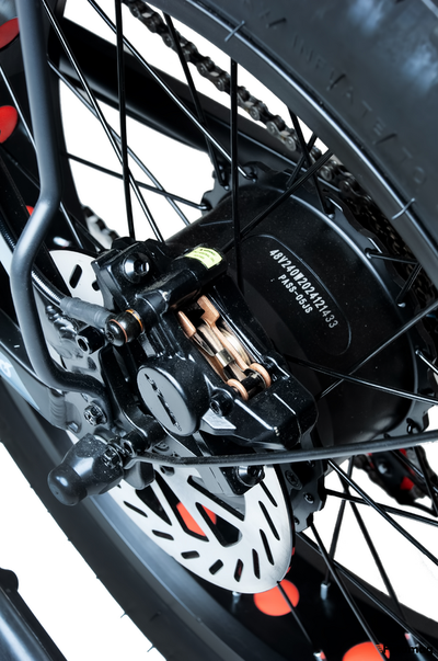 Электровелосипед Minako F10 PRO 20 (чёрный)