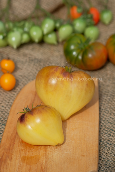 Томат Sgt. Peppers Yellow (Сержант Пеппер Желтый), 10 шт