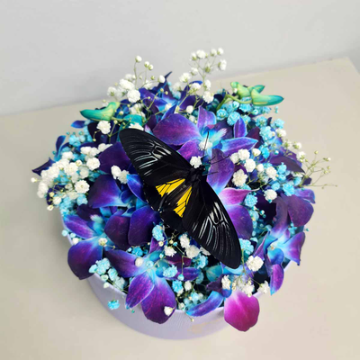 Букет голубой орхидеи с гипсофилой и бабочкой "Звездное небо" № 20